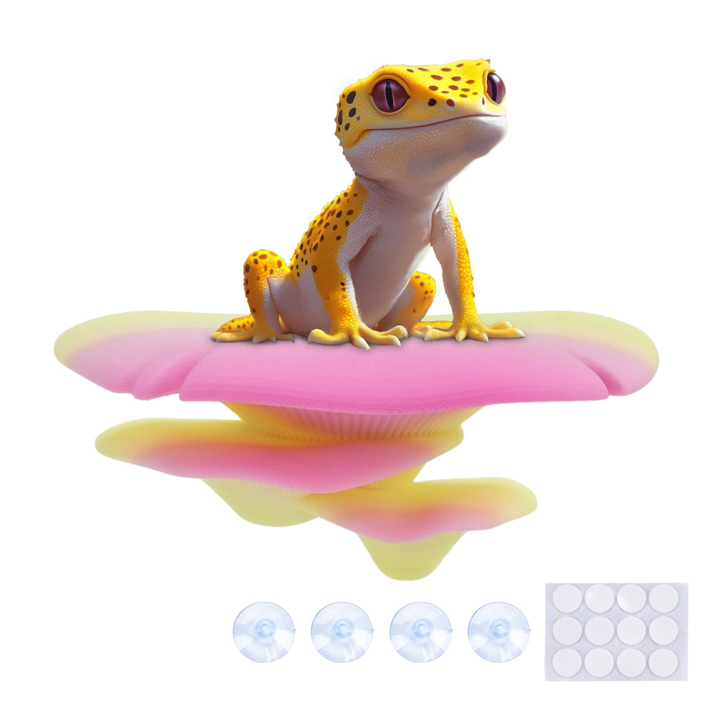 Westant hongo arcoiris en tanques, añade color y refugio seguro para reptiles.