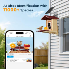 WESTHEY Bird Feeder IP66 waterproof outdoor setup view for reliable all-season use