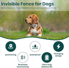 WEUYUY dog collar displays beep, vibration, and static training options.