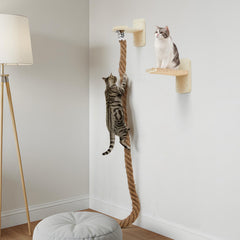 Weysat cat tree wall steps offer secure perches for climbing and rest.