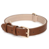 WHIPPY Leather Dog Collar brown outer view shows durable design for daily walks.