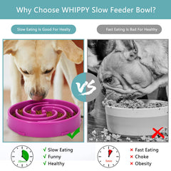 Whippy slow feeder bowl purple spiral-pattern engages dogs for mindful eating