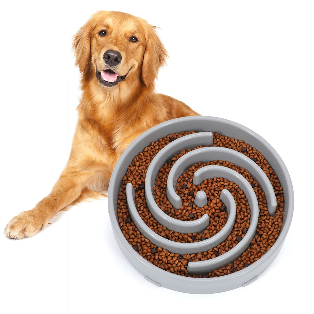 WHIPPY Slow Feeder Large Dog Bowl exterior view with non-slip base for stable feeding.