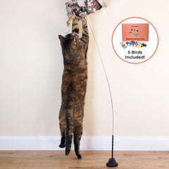 Whiskertons realistic bird impression toy demonstrates lifelike movement for curious cats.