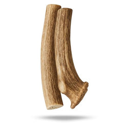 WhiteTail Naturals axis deer antler close-up texture shows natural hardness for durable chewing.