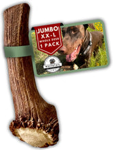 WhiteTail Naturals jumbo-xxl deer antler 1-pack; long-lasting chew for aggressive chewers indoors