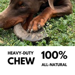 WhiteTail Naturals buffalo horn supporting dental health for dogs