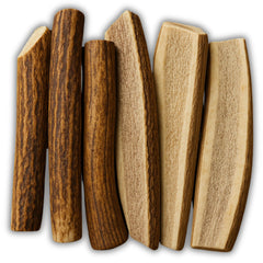 WhiteTail Naturals elk antler split left view offers a long-lasting chew for medium to large dogs.