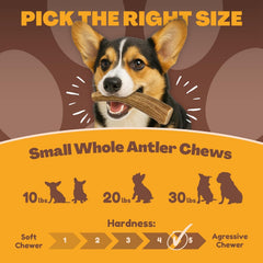 WhiteTail Naturals ethically sourced antler satisfies natural chewing instincts and promotes mindful chewing.