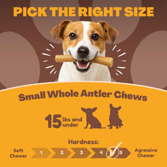 WhiteTail Naturals puppy chew bulk pack for indoor play and boredom relief