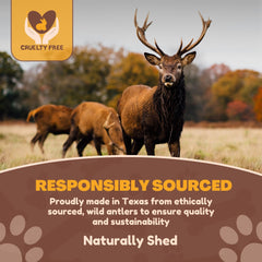 WhiteTail Naturals red deer antler split pack right view provides a durable dental-friendly chew.