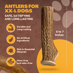 WhiteTail Naturals USA made deer antler chews pack XXL ready for home use.
