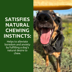 WhiteTail Naturals Himalayas-made dog chews emphasizing quality production