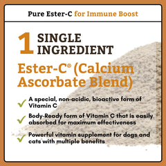 Wholistic Ester-C powder dissolving into dog meal for convenient immune support