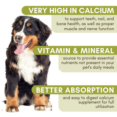 Sea Coral Calcium two-to-one ratio infographic by Wholistic Pet Organics.