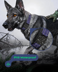 WhoseID Airtag Dog Collar integrated holder provides secure AirTag tracking