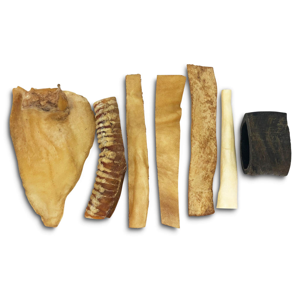 Wild Eats water buffalo ear closeup, durable chew for long-lasting play.
