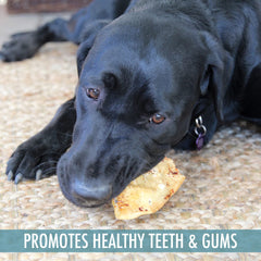 Wild Eats Water Buffalo ear treat pack view highlights grain-free, single-source protein option.