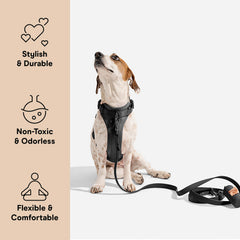 Wild One dog harness front-attachment for no-pull training and control.