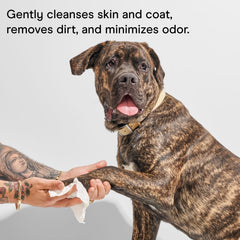 Wild One eucalyptus dog wipes paw-cleaning scene demonstrates quick dirt control.