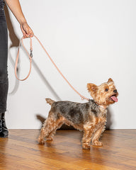 Wild One leash small pink hardware enables easy adjustments on the go