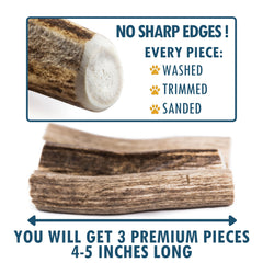 Wildeers Premium Deer Antlers closeup highlights natural texture ideal for satisfying chewers.