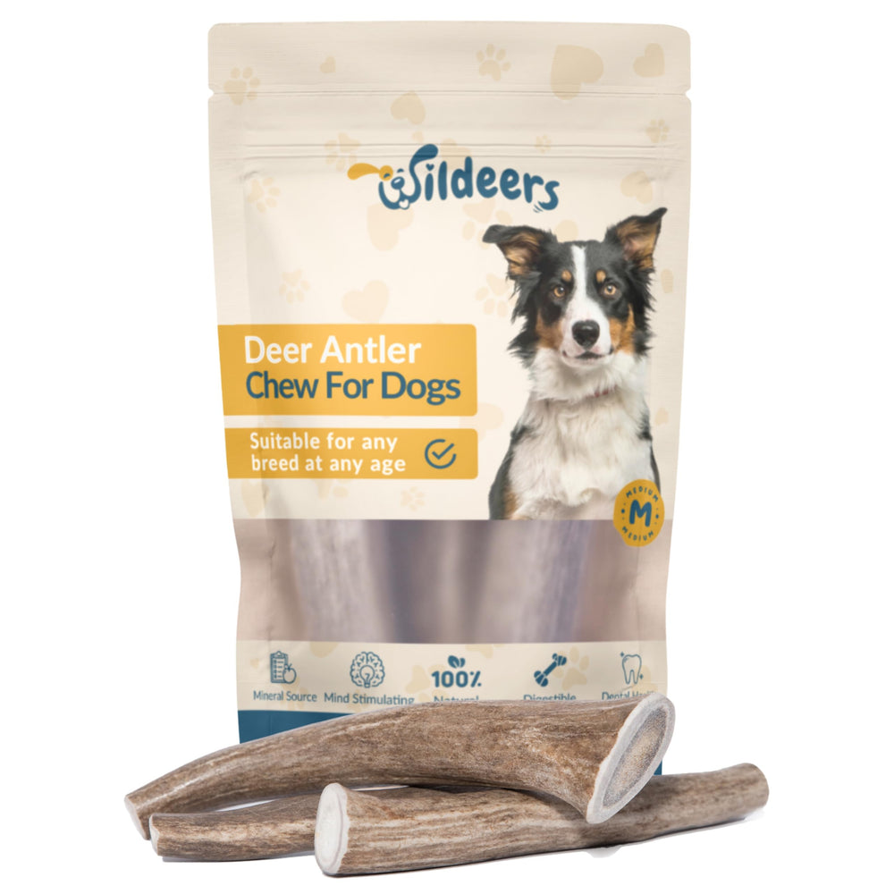 Wildeers premium deer antlers for dogs, three-pack, long-lasting chew for busy households.