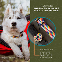 Wilderdog climbing rope collar adjustment demonstrates easy size changes for growing dogs.