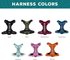 Wilderdog harness highlights chest D-ring attachment for versatile leash options.