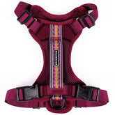 Wilderdog lightweight harness overview in Huckleberry for everyday comfort