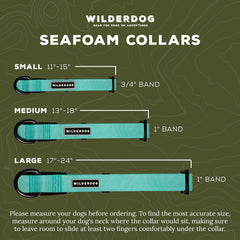 Wilderdog seafoam collar adjustment and fit demonstrates comfortable sizing