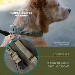 Wilderdog waterproof dog collar olive worn on a medium dog shows the 13–18 inch fit.