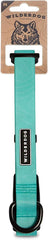 Wilderdog waterproof collar seafoam front view showing water-repellent design for outdoor adventures