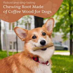 Wildfang Coffee Wood Dog Chew Small close-up surface highlights splinter-resistant finish