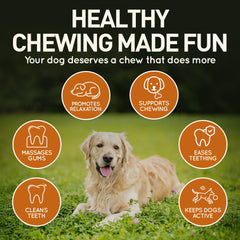 Wildfang Leather Dog Toy Large closeup—natural leather texture for safe chewing.