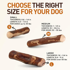 Wildfang Olive Wood stick large dog teeth demo highlights dental-cleaning potential.