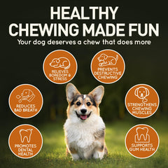 Wildfang Olive Wood durable wood texture emphasizes splinter-resistant design for aggressive chewers.