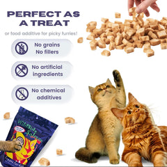 WildSideSalmon cat treats highlight wild-caught salmon ingredient as natural protein source.