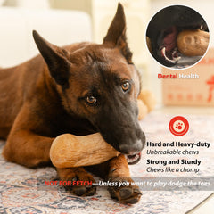 Willjoy teeth-wellness toy supports oral hygiene during extended chewing.