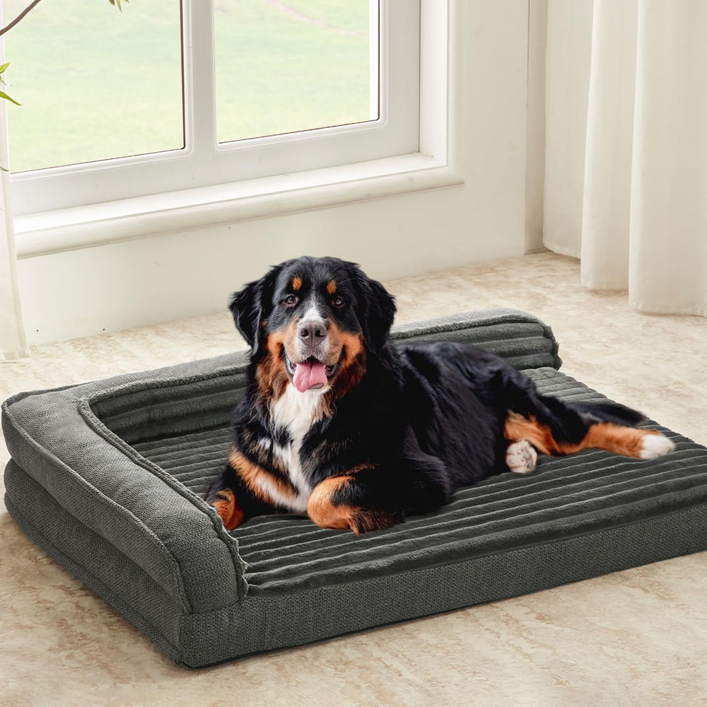 WindRacing XXLarge orthopedic dog bed front view showing spacious lounging area.