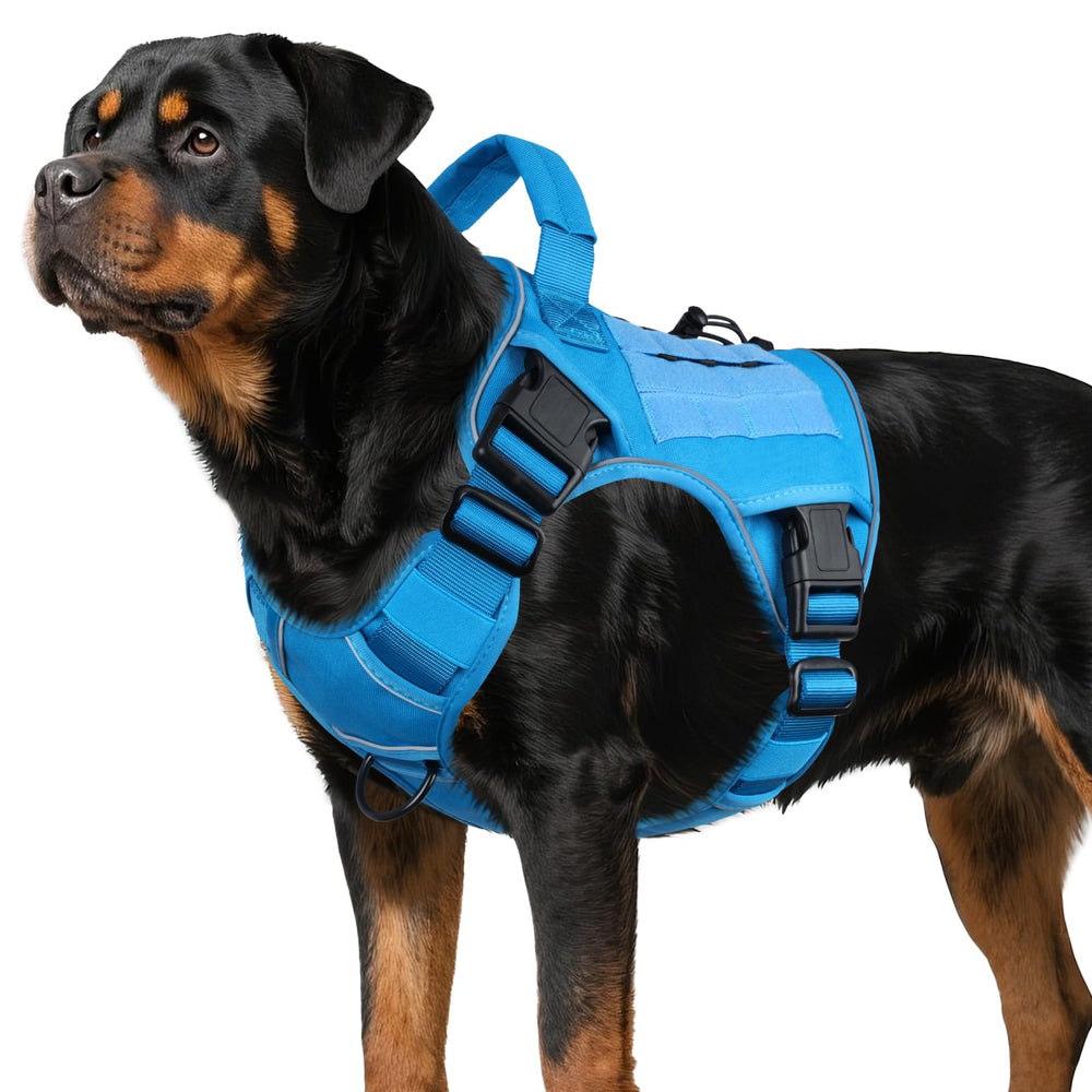 WINGOIN blue tactical dog harness side view for comfortable, controlled walks.