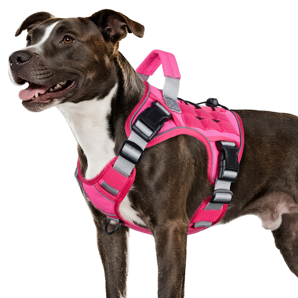 WINGOIN pink tactical dog harness front view demonstrates secure medium-dog fit.
