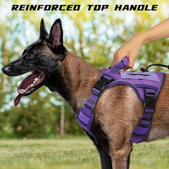 WINGOIN quick-release side-entry buckles enable easy on/off with less resistance.