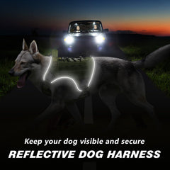WINGOIN reflective strip at night improves visibility for safe evening walks.