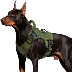 WINGOIN tactical dog harness on a large green dog for hiking comfort.