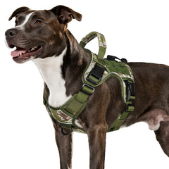 WINGOIN Tactical Dog Harness side-entry design for quick on-off during daily walks.