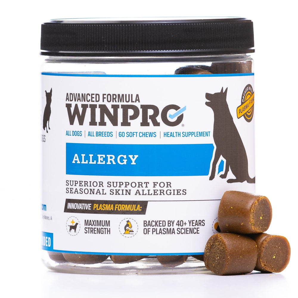 WINPRO Allergy Chews packaging shows grain-free formula for seasonal dog support.