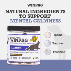 DOG relaxed with WINPRO Calming Chews on a couch for calm moments