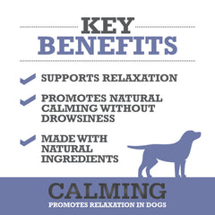 Close-up of WINPRO Calming Chews soft texture for a tasty calm