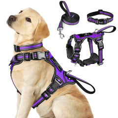 WINSEE 3in1 harness front-clip shows no-pull control during walks